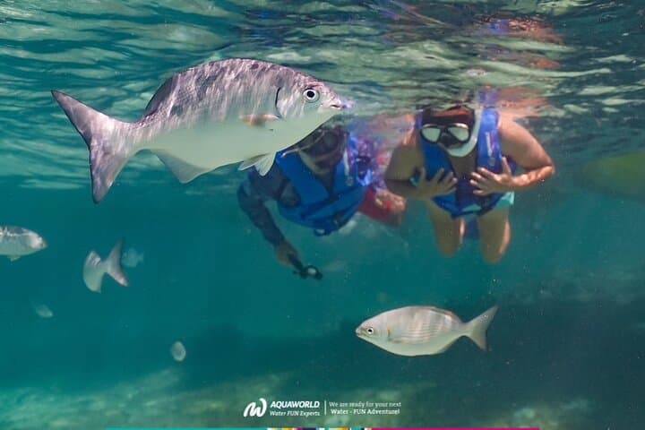 Drive a Speedboat Through Nichupté Lagoon and Snorkel Punta Nizuc - Cancun Jungle Tour photo 2