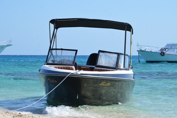 Private Hurghada Speedboat Dolphin Watching & Snorkeling Adventure