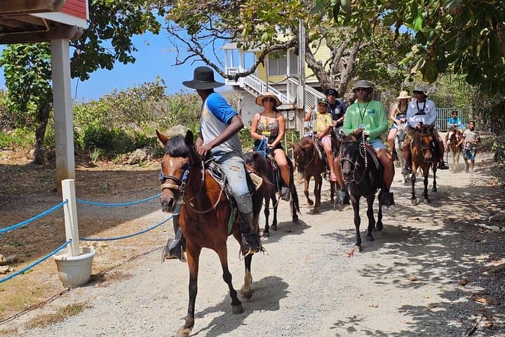 Roatán Wild Ride: Zipline, Horseback & Animal Sanctuary Shore Excursion photo 3