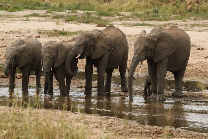 2-Day Tarangire and Ngorongoro Safari: Mid-Range Camping Adventure from Arusha photo 6