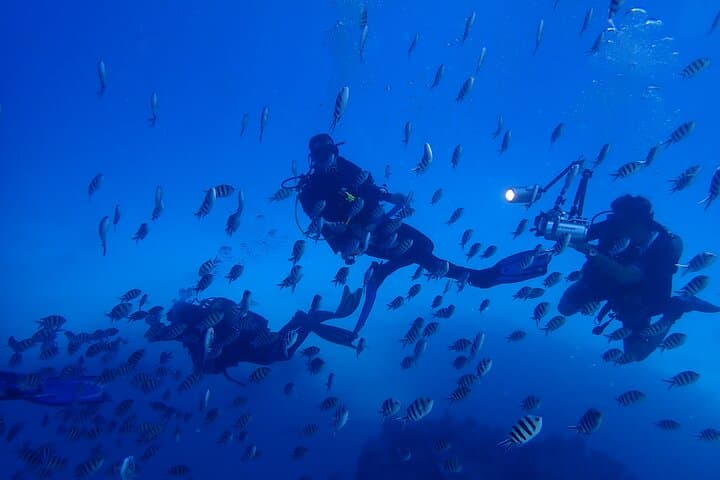 Discover Scuba Diving in Professor Luis Saldanha Marine Park — Arrábida Try Dive near Lisbon photo 4