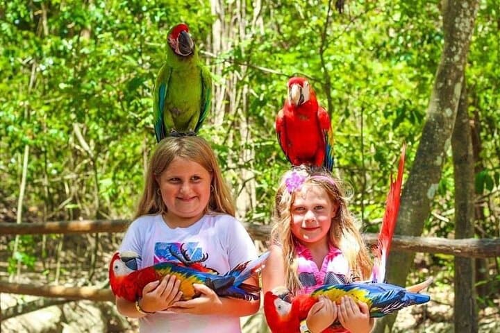 Roatán Guided Wildlife, Chocolate & Rum Tasting Tour photo 4