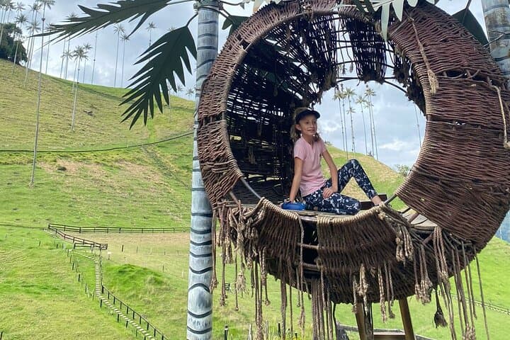 Cocora Valley Trek: Wax Palms and Birdlife Trek from Salento photo 4