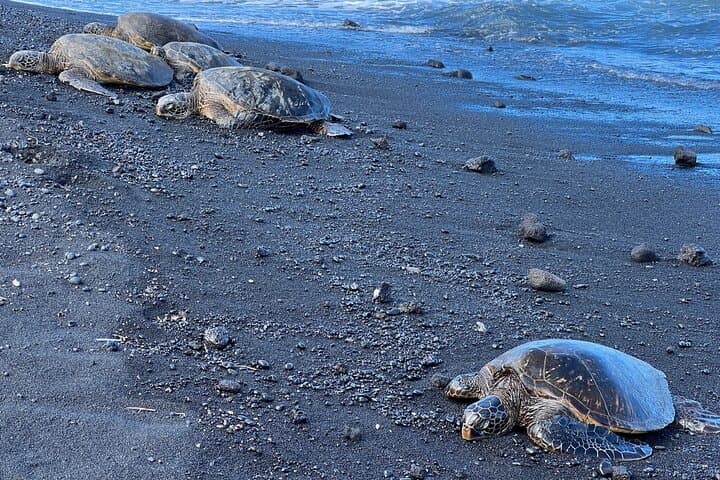 Explore Big Island’s Volcanoes, Waterfalls & Coffee on a Guided Day Tour photo 3