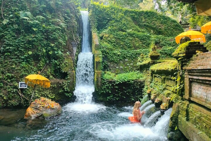 Private Bali Shore Excursion to Ubud: Waterfalls, Rice Terraces & Sacred Springs photo 2