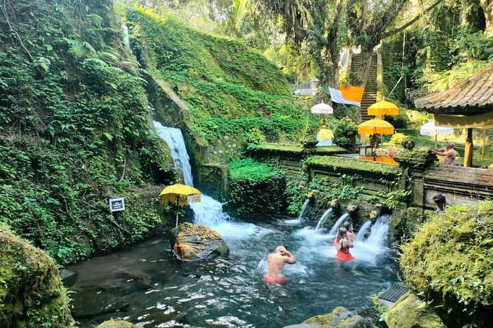 Private Bali Shore Excursion to Ubud: Waterfalls, Rice Terraces & Sacred Springs photo 4