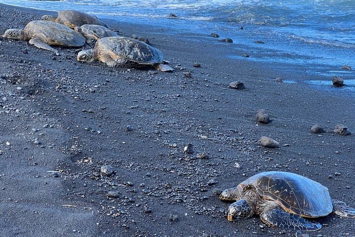 Private Custom Big Island Adventure — All-Inclusive 4–6 Hour Island Tour photo 3