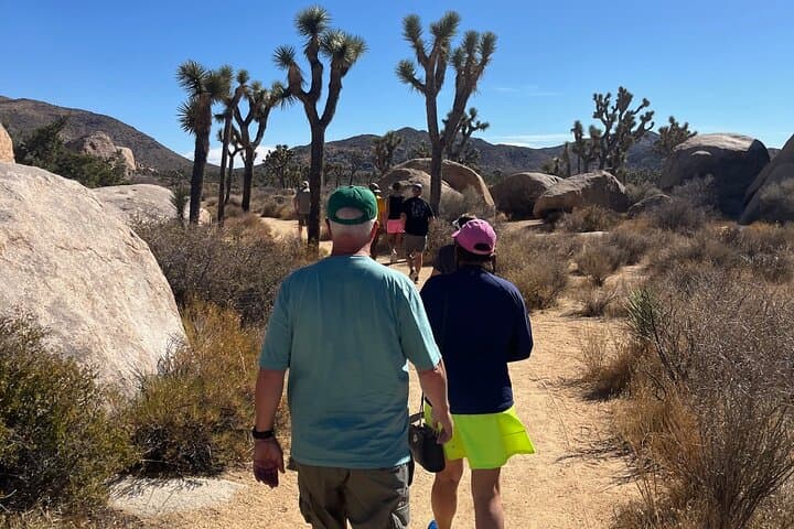 Joshua Tree National Park: 4–5 Hour Sightseeing Tour to Keys View, Hidden Valley & Skull Rock photo 1