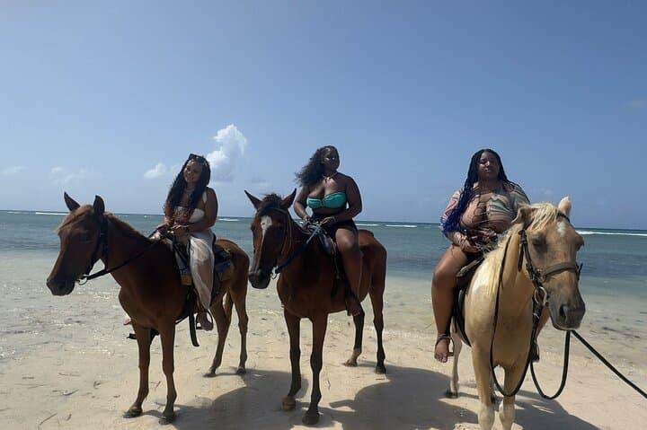 Blue Hole & Beach Horseback Ride from Montego Bay — Ocho Rios Waterfall Swim and Local Shopping