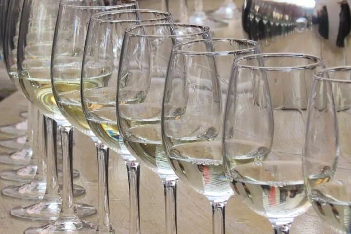 Private Wine Tours to Concha y Toro & Santa Rita — Maipo Valley Tastings from Santiago photo 3