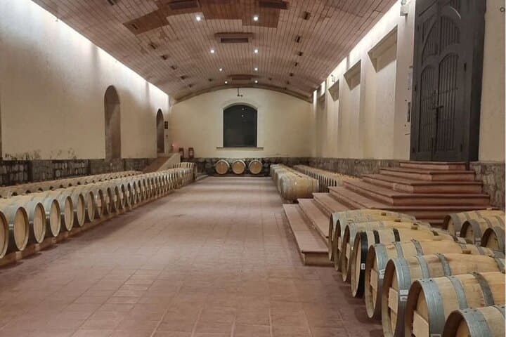 Private Wine Tours to Concha y Toro & Santa Rita — Maipo Valley Tastings from Santiago photo 4