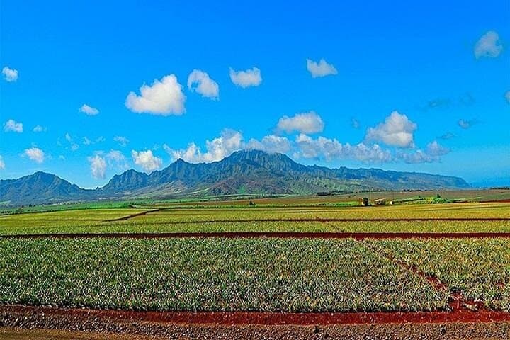 Private Customizable Oahu Grand Circle Tour from Waikiki: Design Your Perfect Day photo 4