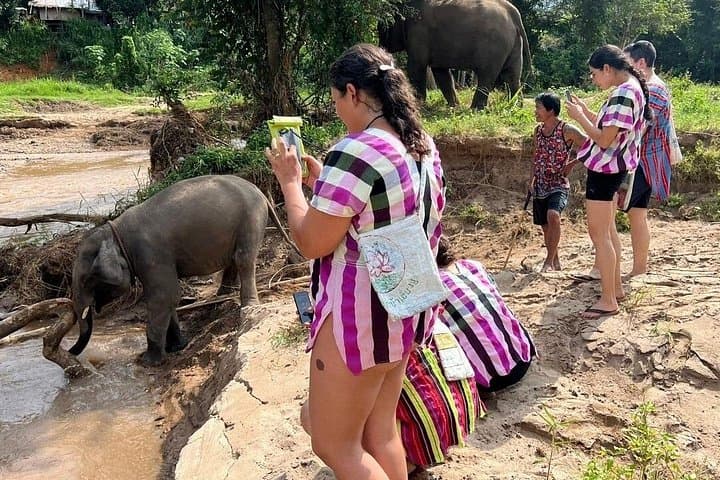Doi Inthanon Elephant Care Camp & Pha Dok Siew Trek — Full-Day Tour from Chiang Mai photo 4