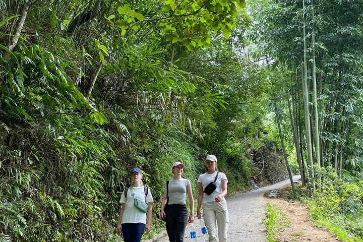 Sapa Trek: Hmong Village Trekking and Authentic Vietnamese Cooking Class photo 4