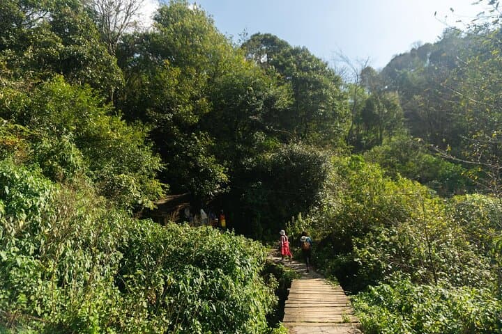 Sapa Trek: Hmong Village Trekking and Authentic Vietnamese Cooking Class photo 5