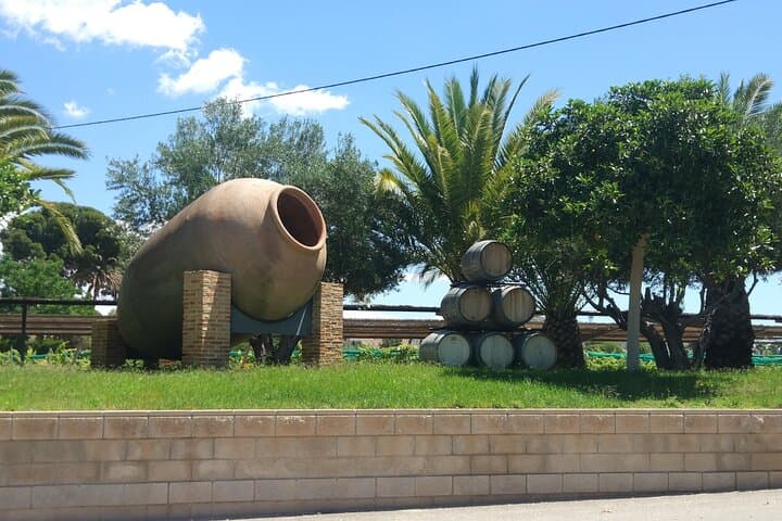 Historic Winery Guided Tour & 3-Wine Tasting near Alicante photo 4