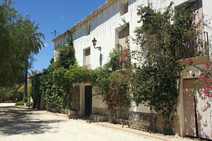 Historic Winery Guided Tour & 3-Wine Tasting near Alicante photo 2