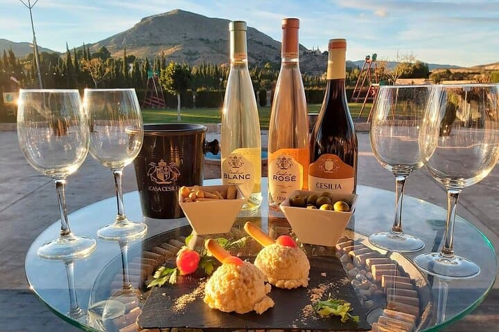 Historic Winery Guided Tour & 3-Wine Tasting near Alicante