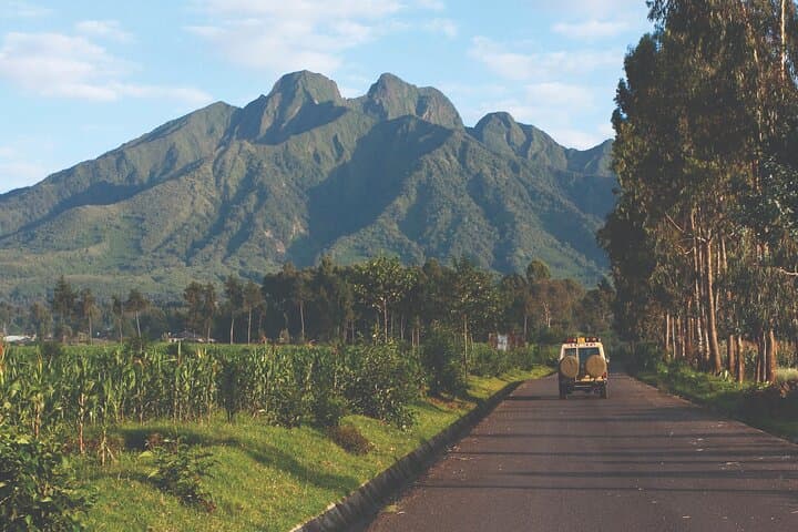 One-Day Mountain Gorilla Trekking in Volcanoes National Park, Rwanda