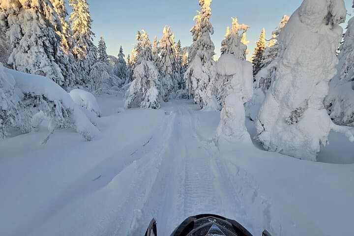 Small-Group Snowmobile Tour in Sinettä Wilderness (3 Hours) photo 4
