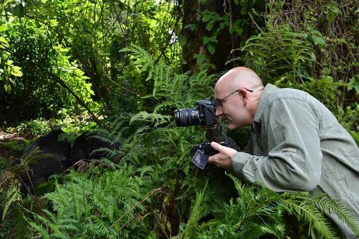One-Day Mountain Gorilla Trekking in Volcanoes National Park, Rwanda photo 6