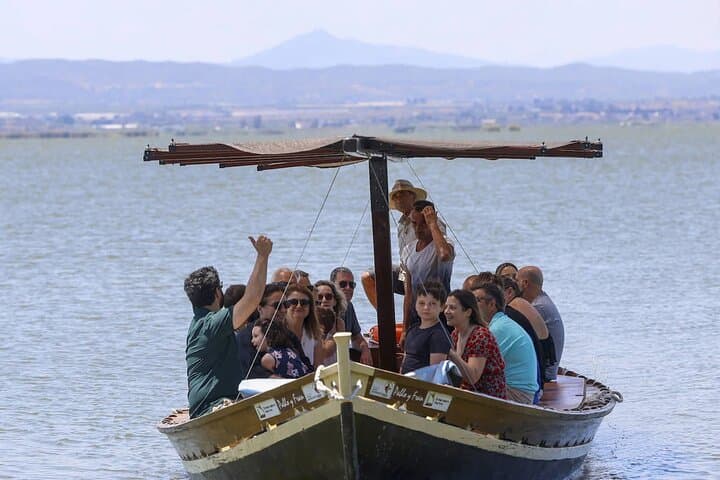 Albufera Boat Ride & Authentic Paella from Valencia — Birdwatching & Sunset Tour photo 3