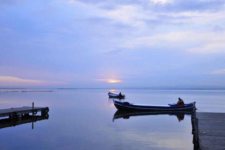 Albufera Boat Ride & Authentic Paella from Valencia — Birdwatching & Sunset Tour photo 6