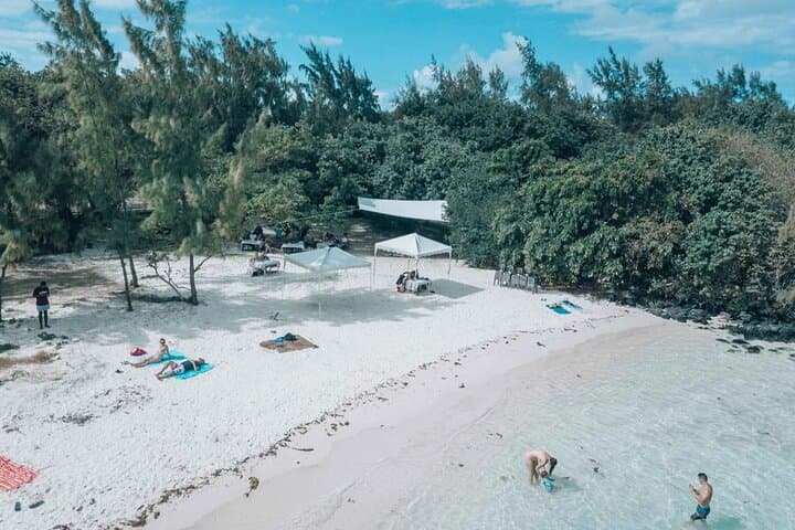 Catamaran Adventure to Île aux Cerfs: Full-Day Snorkel & Waterfall Cruise from Trou d'Eau Douce photo 4