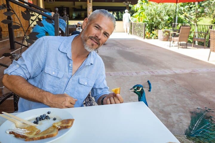Puerto Rico Coffee Plantation and Waterfall Day Tour from San Juan photo 2