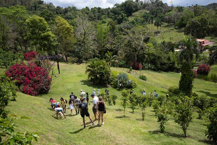 Puerto Rico Coffee Plantation and Waterfall Day Tour from San Juan photo 4