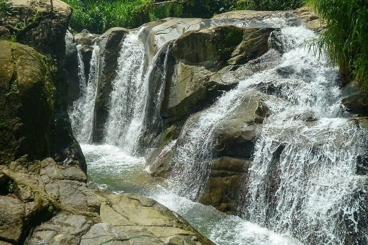 Puerto Rico Coffee Plantation and Waterfall Day Tour from San Juan photo 6