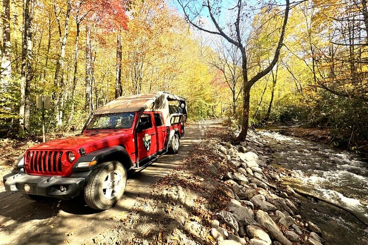Smoky Mountain Cherokee & Blue Ridge Parkway Jeep Safari: Mile-High Views, Elk Meadows & Waterfalls photo 3