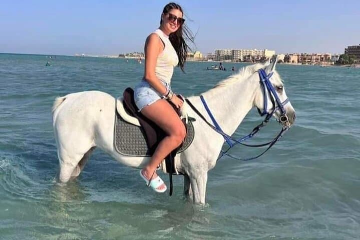 Hurghada Horseback & Camel Ride: Desert Dunes to Seashore in 2 Hours photo 5