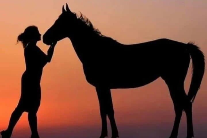 Hurghada Horseback & Camel Ride: Desert Dunes to Seashore in 2 Hours photo 6