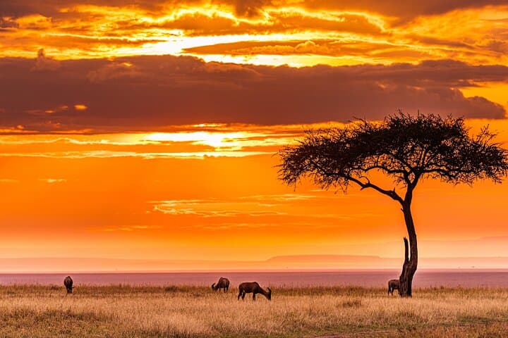 3-Day Serengeti and Ngorongoro Midrange Safari from Arusha photo 2