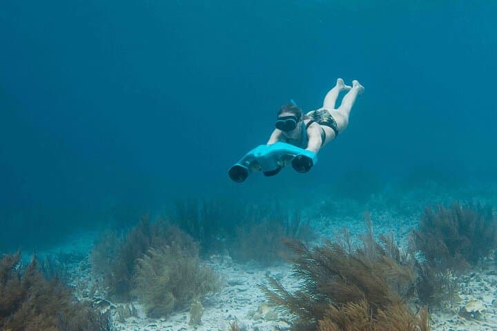E-Snorkeling in Bonaire: Sea Scooter Reef Tours from Kralendijk photo 6