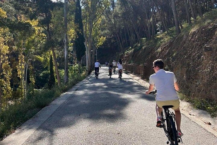 Exploring Málaga by Wheel: Urban Bike Rental on Huelin Beach photo 2
