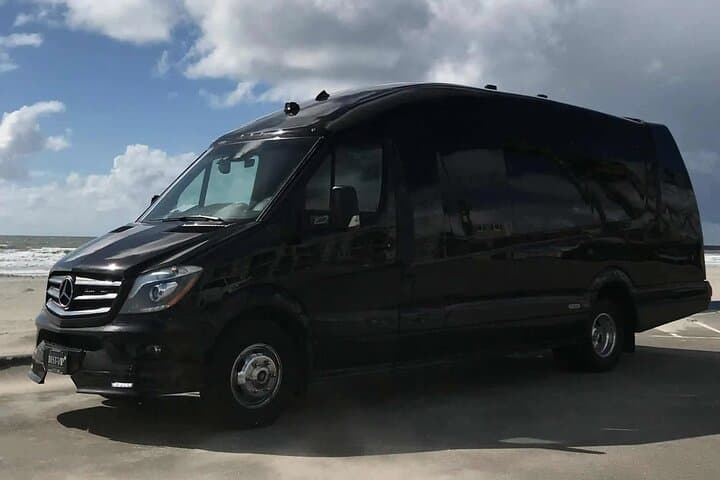 Cruise Cookeville’s Holiday Lights in a Luxury RoadStallion photo 3