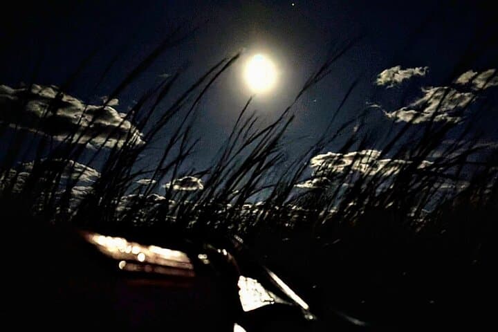 Full Moon Paddle at Talbot Islands State Park — Amelia Island Night Kayak & SUP Tour photo 2