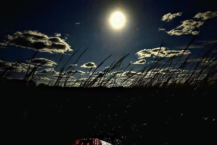 Full Moon Paddle at Talbot Islands State Park — Amelia Island Night Kayak & SUP Tour photo 3