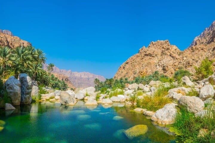 Paradise Valley Agadir Half-Day: Natural Pools, Palm Oases & Atlas Views photo 5
