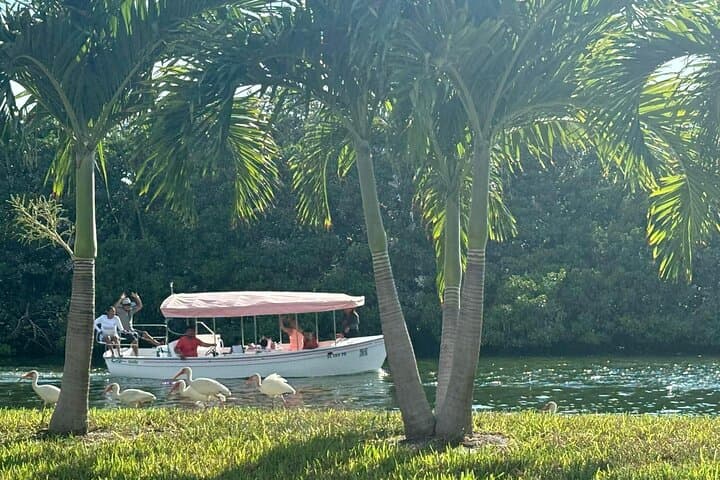 2-Hour Self-Guided Electric Duffy Boat Rental in St. Pete Beach photo 4