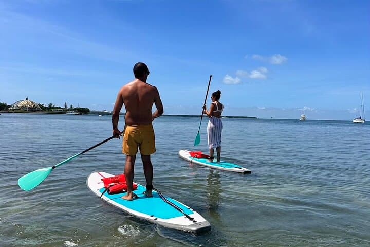 Paddle Biscayne Bay: Miami SUP & Kayak Tour from Virginia Key