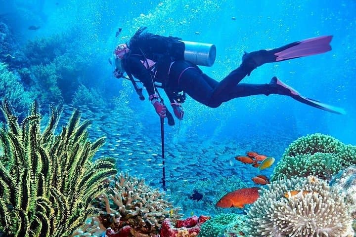 Tiran Island Cruise & Intro Dive from Sharm El Sheikh — Snorkel Pristine Reefs photo 5