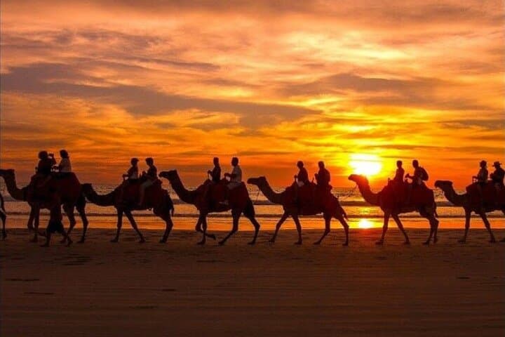 Agadir Sunset Camel Ride and BBQ Dinner: Eucalyptus Trails and Flamingo Views photo 2