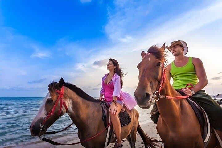 Agadir Sunset Camel Ride and BBQ Dinner: Eucalyptus Trails and Flamingo Views photo 3