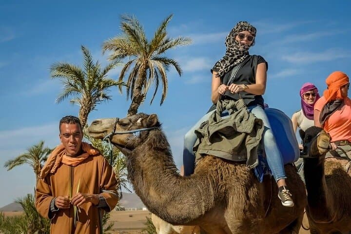 Agadir Sunset Camel Ride and BBQ Dinner: Eucalyptus Trails and Flamingo Views photo 5