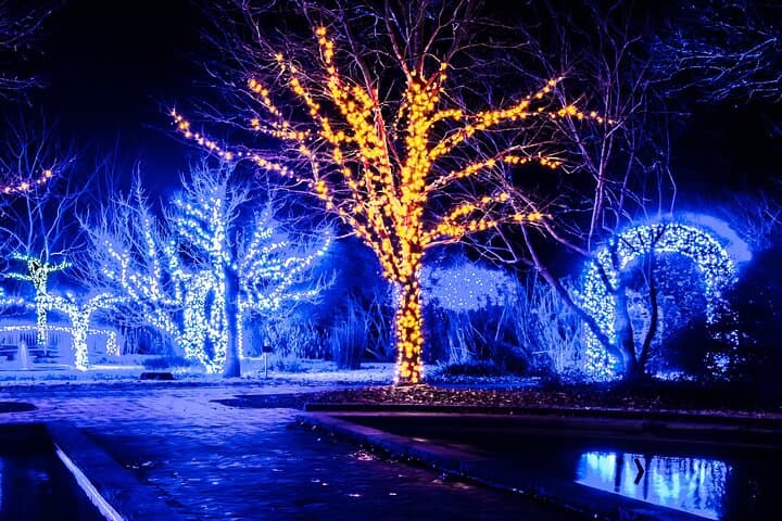 Franklin Festive Lights Spectacular: Private Christmas Lights Tour in Franklin, TN
