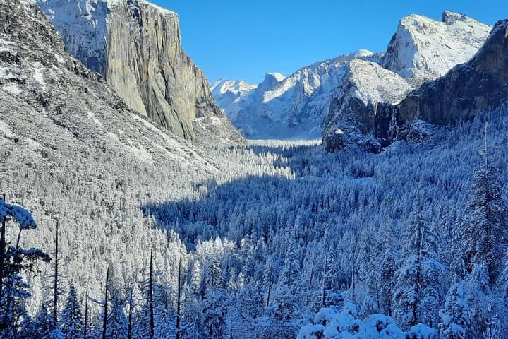 Full-Day Yosemite National Park Tour from San Francisco (Optional Alcatraz Combo) photo 5