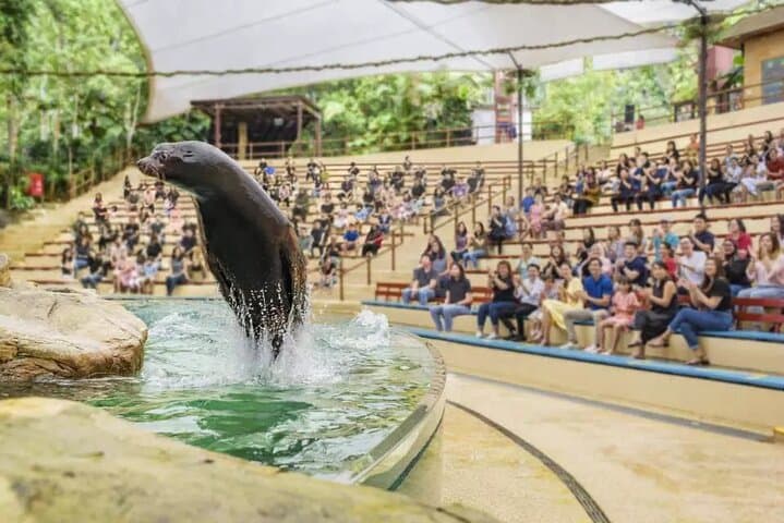 Singapore Zoo Tram Tour & Wildlife Encounters at Mandai Wildlife Reserve photo 2